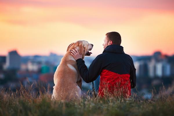 Skurcze u psów – przyczyny, objawy i co robić – jak zapobiegać skurczom u psów? 