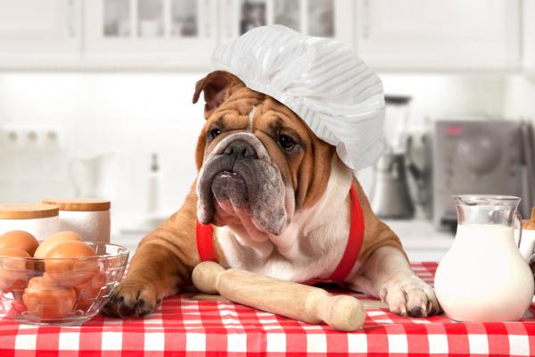 Pokarmy zawierające wapń dla psów - mleko i ser