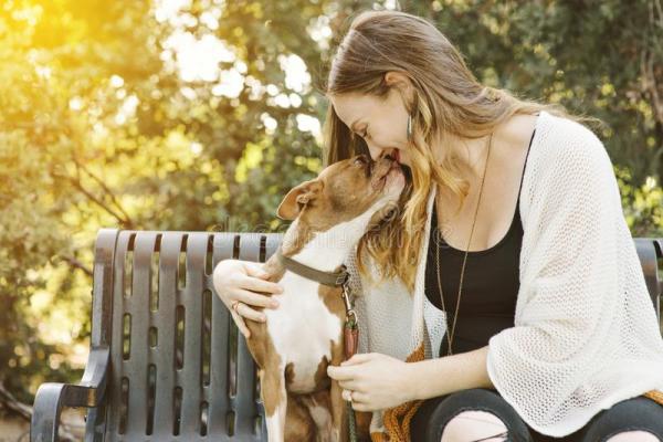 Odwrotne kichanie u psów - przyczyny, leczenie i opieka - Środki zaradcze na odwrotne kichanie u psów 