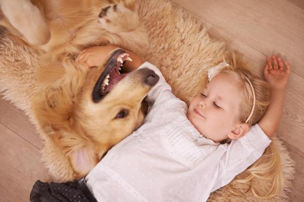 10 powodów, aby mieć psa - 4. Pomagają nam spać w cieple zimą
