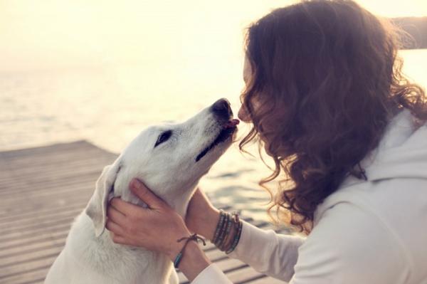 10 powodów, aby mieć psa - 10. Jego miłość jest nieskończona