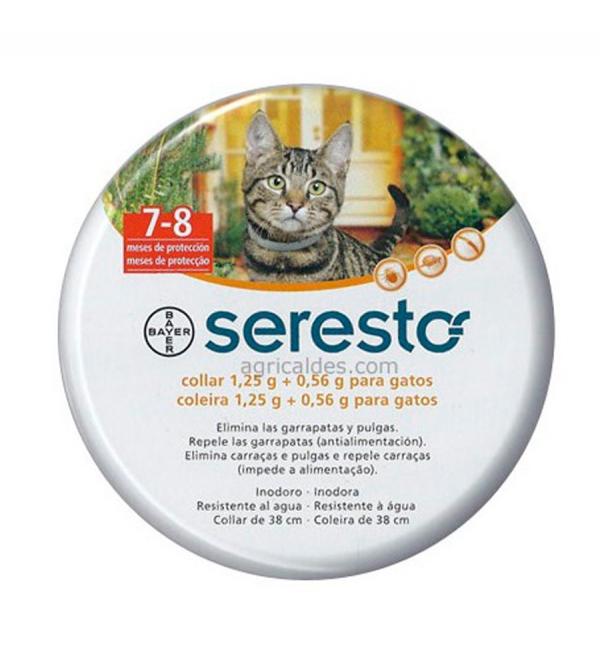 Najlepsze produkty do odrobaczania kotów - obroża Bayer dla kotów