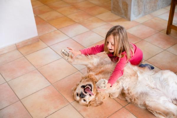 20 najlepszych ras psów dla dzieci - 8. Golden retriever, pies dla dzieci w każdym wieku