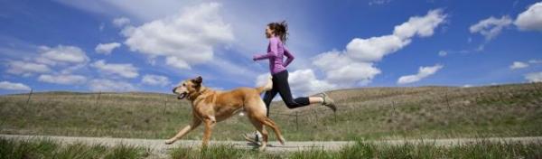 Ćwiczenia dla dorosłych psów - zalety ćwiczeń i podstawowe wskazówki