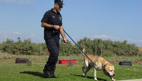 Czy można wyszkolić pozytywnego psa policyjnego?  - Czy pozytywne szkolenie jest naprawdę skuteczne?