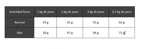 Ilość jedzenia dla Chihuahua - Ile je dorosły Chihuahua?