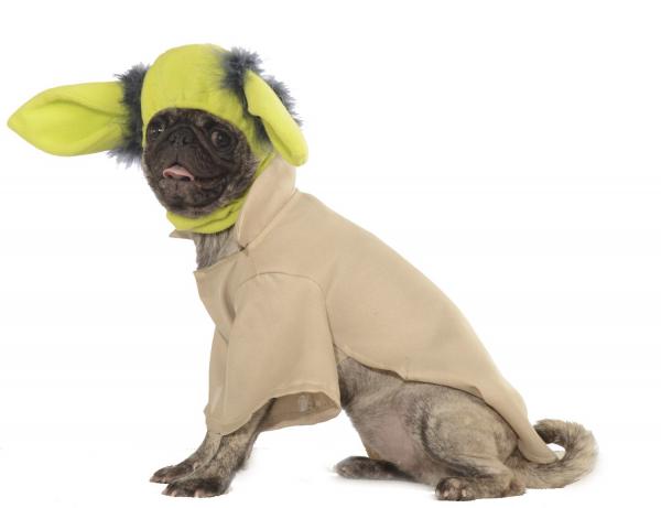 1628576837 296 Najlepsze kostiumy z Gwiezdnych Wojen dla psow