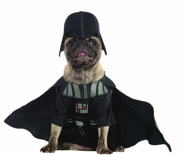 1628576837 829 Najlepsze kostiumy z Gwiezdnych Wojen dla psow