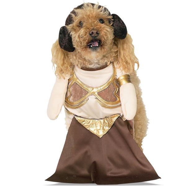 1628576838 808 Najlepsze kostiumy z Gwiezdnych Wojen dla psow