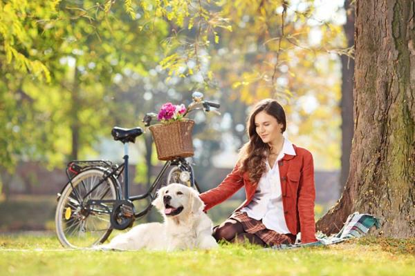 Wskazówki dotyczące prowadzenia psa na rowerze - Okres adaptacji