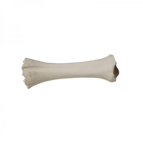 Kości dla szczeniąt - kości wapniowe