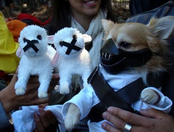 15 kostiumów dla psów na Halloween - 9. Hannibal Lecter Dog