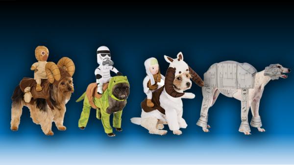 15 kostiumów dla psów na Halloween - 7. Psy z Gwiezdnych Wojen