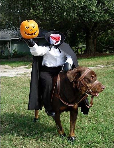 15 kostiumów na Halloween dla psów - 4. Bezgłowy jeździec