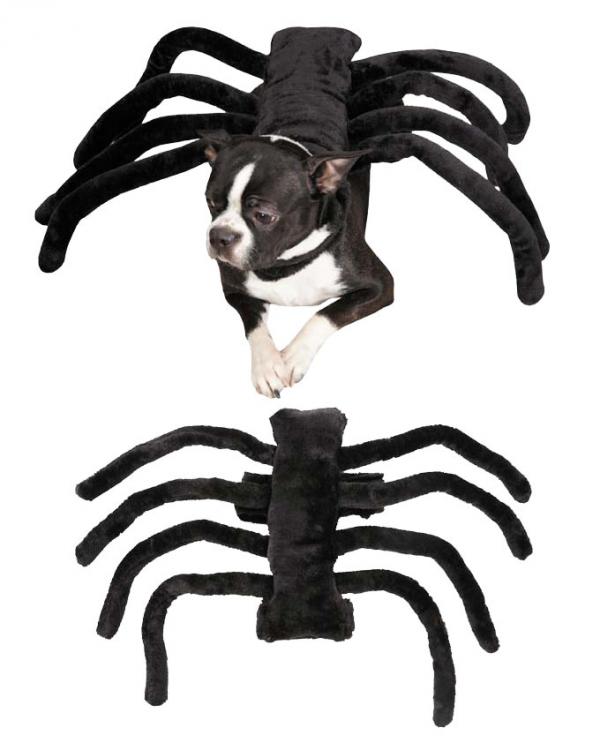 15 kostiumów na Halloween dla psów - 13. Pająk