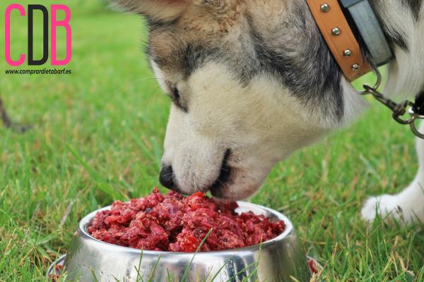 Naturalna karma dla psów - Ilości, przepisy i wskazówki - Jak przygotować naturalną karmę dla psów?