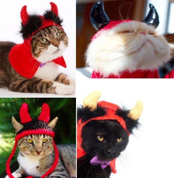 Kostiumy na Halloween dla kotów - Do diabła z kotem!