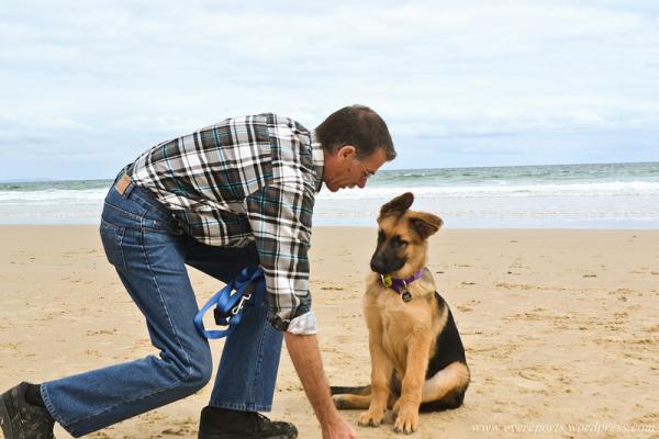 Uczenie społeczne u psów - Faza druga: Uogólnienie normy