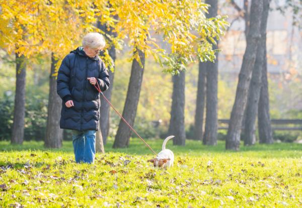 10 powodów, aby wyprowadzać psa na spacer - 3. Potrafi wąchać, co jest sposobem na stres
