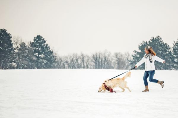 10 powodów, dla których warto wyprowadzać psa na spacer — 6. Trzeba go poznać