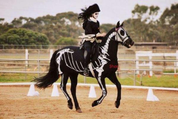 10 kostiumów na Halloween dla koni - 1. Koń gotycki