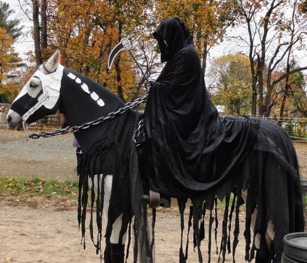 10 kostiumów na Halloween dla koni - 5. Rumak śmierci