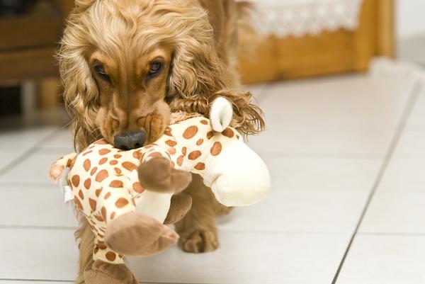 Zabawki niezalecane dla psów - Pluszaki i lalki