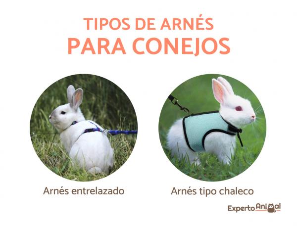 Szelki dla królików - Rodzaje i cechy - Rodzaje szelek dla królików