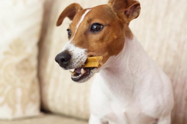 Różne sposoby czyszczenia zębów psa - 8. Przekąski dentystyczne