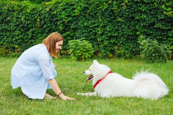 Wzbogacanie środowiska dla psów - Pomysły i gry - 2. Szkolenie i umiejętności psów