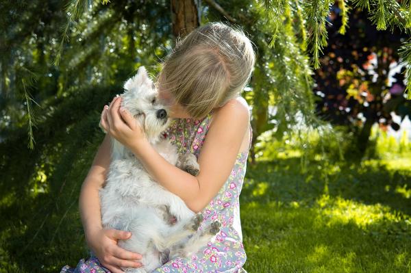 Zajęcia dla dzieci i psów - Psy i dzieci: idealni towarzysze 