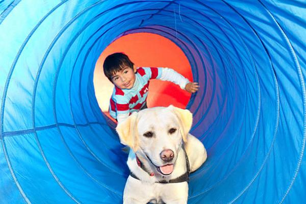 Zajęcia dla dzieci i psów - Twój własny obwód agility 