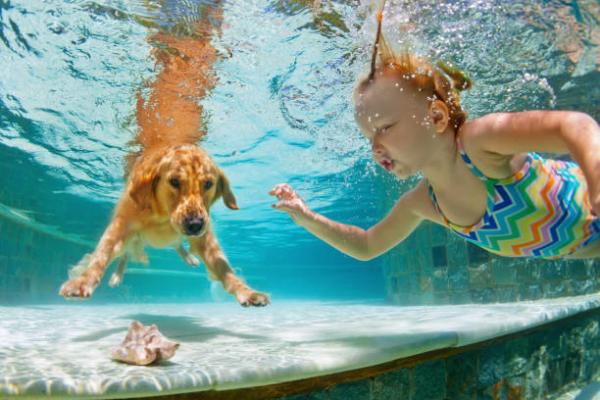 Zajęcia dla dzieci i psów - Pływanie lub zabawy w wodzie