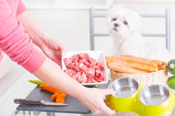 10 pokarmów dla ludzi, które psy mogą jeść - 1. Mięso (bez soli i gotowanych kości)