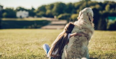 20 najlepszych ras psow dla dzieci