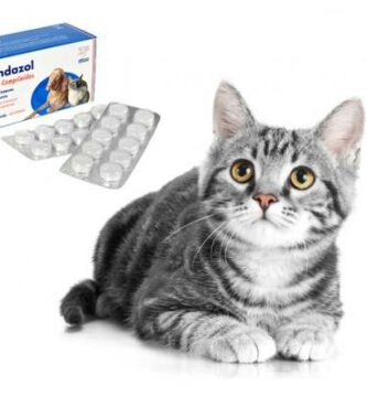Albendazol dla kotow dawkowanie zastosowania i przeciwwskazania