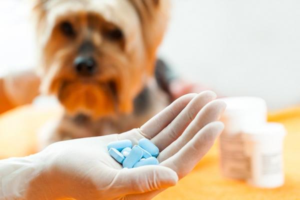 Aspiryna dla psow dawkowanie i zalecenia