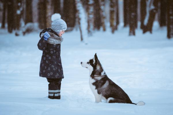 Jak opiekowac sie psem zima
