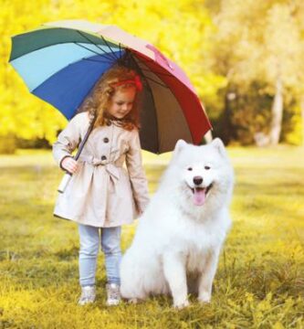 Wskazowki dotyczace wyprowadzania psa w deszczu
