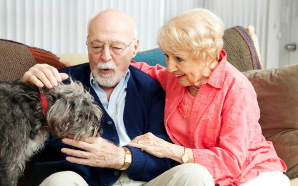 Objawy Alzheimera u psów – co zrobić, jeśli Twój pies cierpi na chorobę Alzheimera