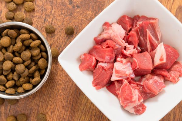 Czy surowe mięso jest dobre dla psów?  - Surowe czy gotowane mięso?