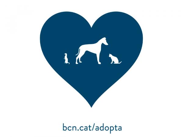 Gdzie mogę adoptować psa w Barcelonie - CAACB