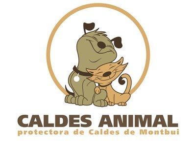 Gdzie mogę adoptować psa w Barcelonie - Protectora de Caldes de Montbui