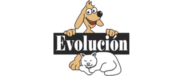 Gdzie mogę adoptować psa w Madrycie - Evolution 