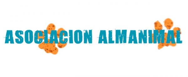 Gdzie mogę adoptować psa w Madrycie - Asociación Almanimal 