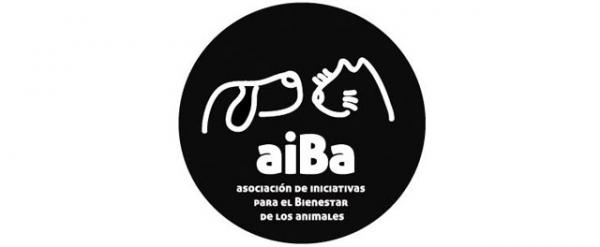 Gdzie mogę adoptować psa w Madrycie - Stowarzyszenie Inicjatyw na rzecz Dobrostanu Zwierząt aiBa