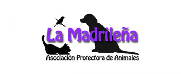 Gdzie mogę adoptować psa w Madrycie - La Madrileña