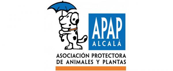 Gdzie mogę adoptować psa w Madrycie - APAP-Alcalá 