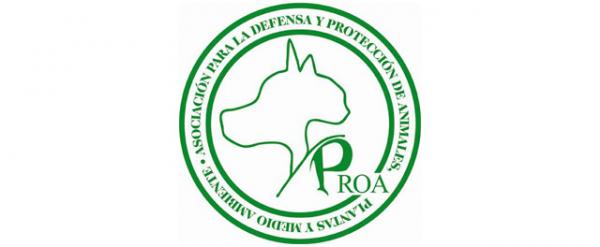 Gdzie mogę adoptować psa w Madrycie - PROA.  Stowarzyszenie Obrony i Ochrony Zwierząt, Roślin i Środowiska