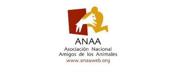 Gdzie mogę adoptować psa w Madrycie - ANAA.  Krajowe Stowarzyszenie Przyjaciół Zwierząt